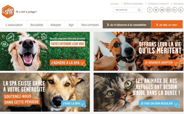 Société Protectrice des Animaux SPA